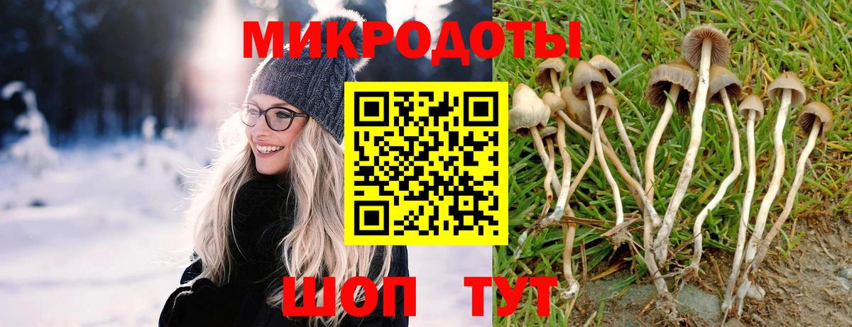 Псилоцибиновые грибы Psilocybine cubensis Рыбинск