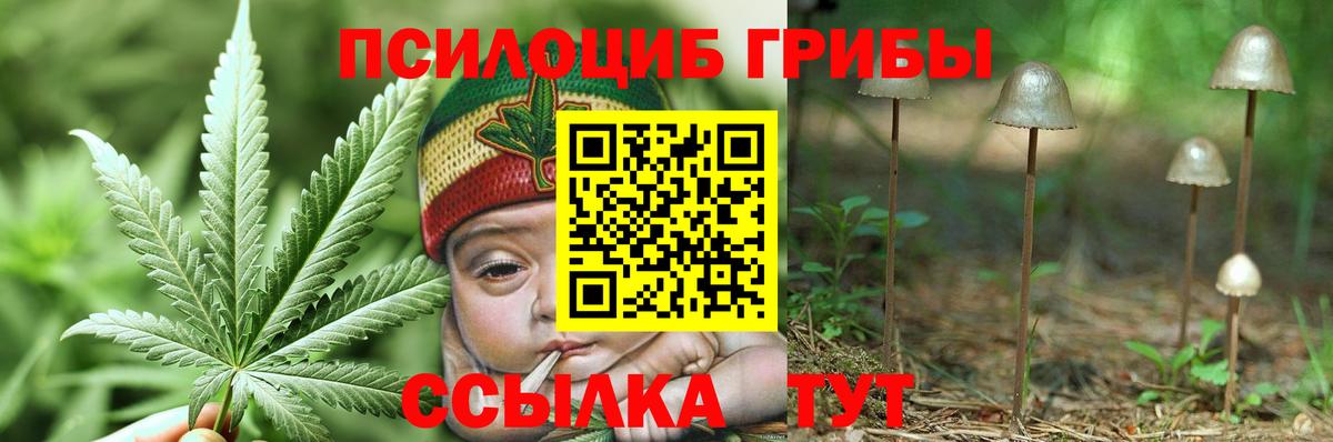 Галлюциногенные грибы Psilocybine cubensis  Вход с VPN  Рыбинск  Псилоцибиновые грибы прущие грибы 